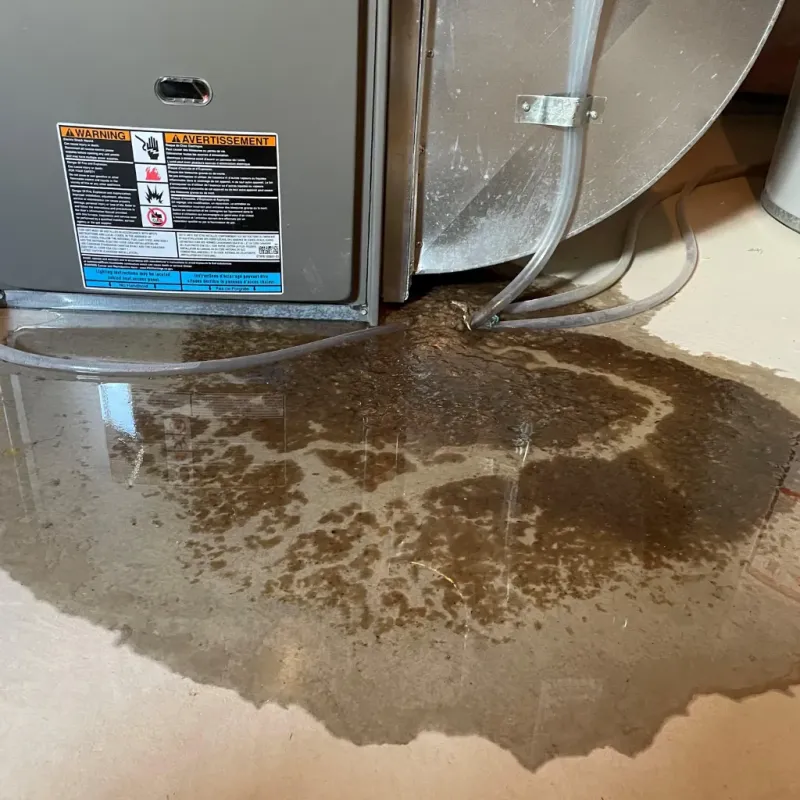 Appliance Leak Cleanup in Redwood, TX