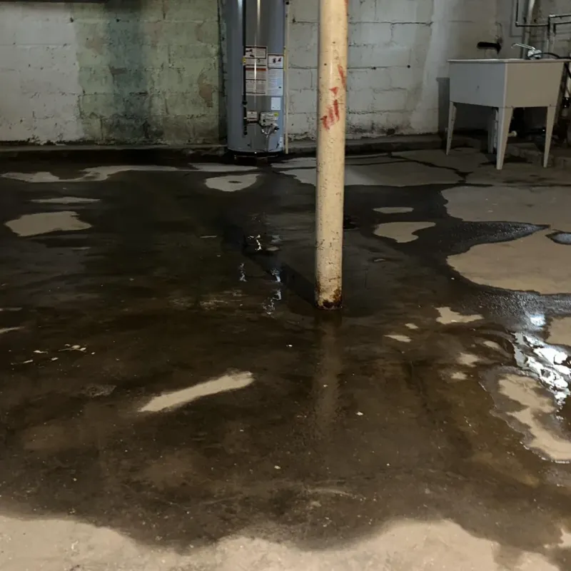 Emergency Water Extraction And Removal in Redwood, TX